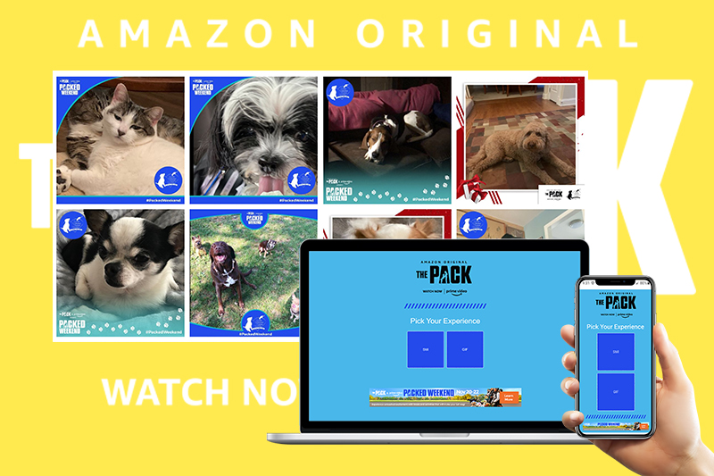 Collage of photos showing dogs in playful poses with a TV screen, laptop, and smartphone displaying a promotion for The Pack on Amazon Original. Bright yellow background with text urging viewers to watch now.